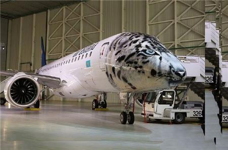 飛機車身貼涂裝 飛機車身貼涂裝