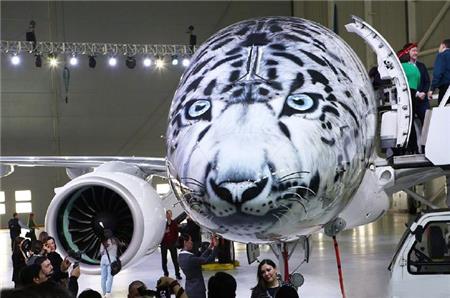 飛機車身貼涂裝 飛機車身貼涂裝