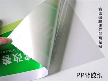 PP背膠 PP背膠