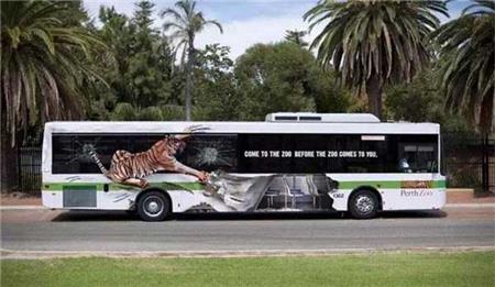 動物園車身廣告.jpg 動物園車身廣告.jpg