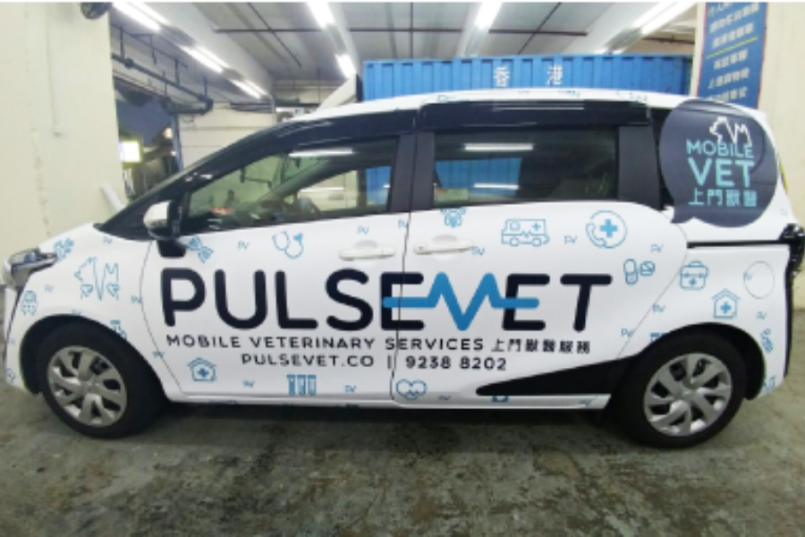 車貼 車貼